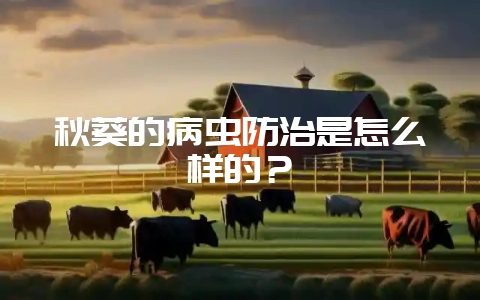 秋葵的病虫防治是怎么样的?插图 秋葵的病虫防治是怎么样的?插图