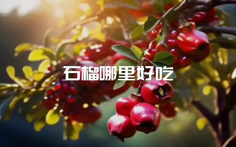 石榴哪里好吃-会东网