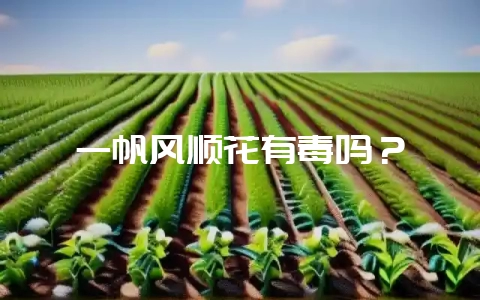一帆风顺花有毒吗?插图 一帆风顺花有毒吗?插图