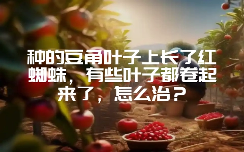 种的豆角叶子上长了红蜘蛛，有些叶子都卷起来了，怎么治？-会东网