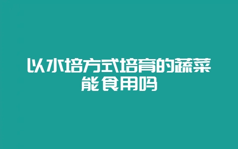 以水培方式培育的蔬菜能食用吗插图 以水培方式培育的蔬菜能食用吗插图