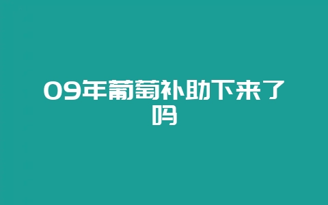 09年葡萄补助下来了吗插图 09年葡萄补助下来了吗插图