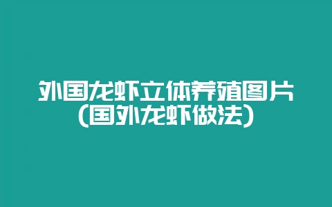 外国龙虾立体养殖图片(国外龙虾做法)-会东网