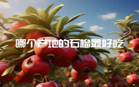 哪个产地的石榴最好吃-会东网