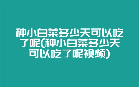种小白菜多少天可以吃了呢(种小白菜多少天可以吃了呢视频)-会东网