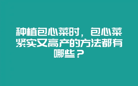 种植包心菜时,包心菜紧实又高产的方法都有哪些?插图 种植包心菜时,包心菜紧实又高产的方法都有哪些?插图