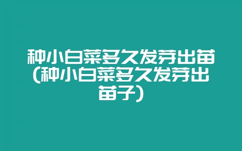 种小白菜多久发芽出苗(种小白菜多久发芽出苗子)-会东网