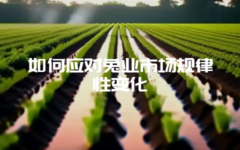 如何应对兔业市场规律性变化-会东网