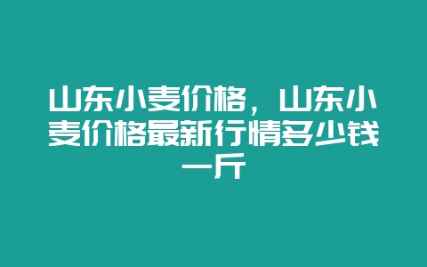 山东小麦价格,山东小麦价格最新行情多少钱一斤-会东网