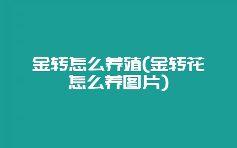 金转怎么养殖(金转花怎么养图片)-会东网