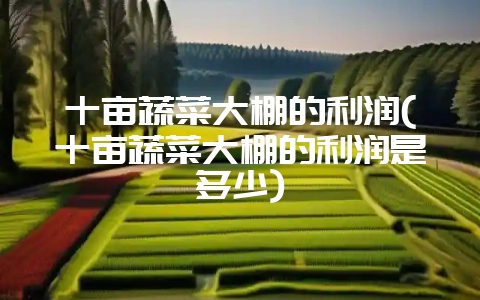 十亩蔬菜大棚的利润(十亩蔬菜大棚的利润是多少)-会东网