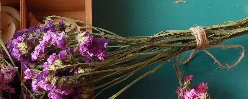 干花是什么-会东网