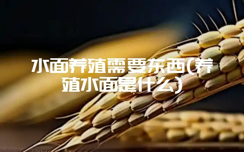 水面养殖需要东西(养殖水面是什么)-会东网