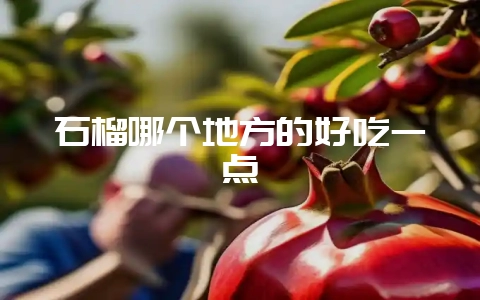 石榴哪个地方的好吃一点-会东网