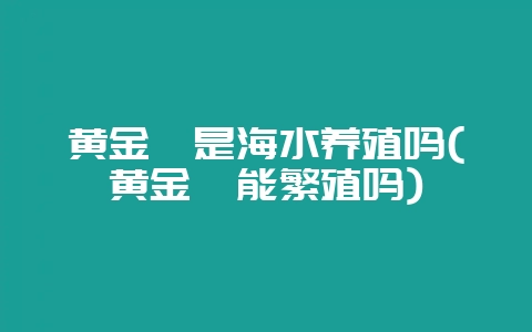 黄金蚬是海水养殖吗(黄金蚬能繁殖吗)-会东网