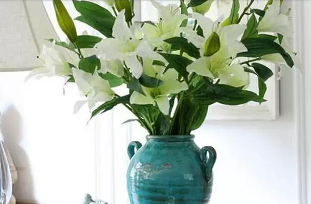养百合花要放多少水-会东网