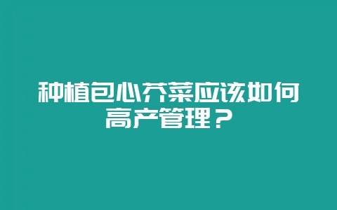 种植包心芥菜应该如何高产管理？-会东网