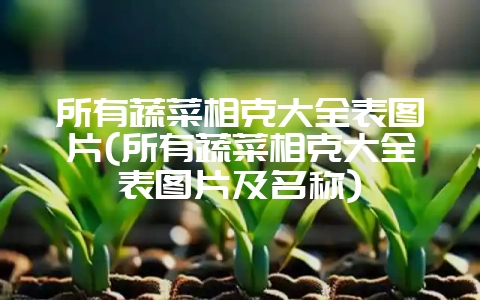 所有蔬菜相克大全表图片(所有蔬菜相克大全表图片及名称)-会东网