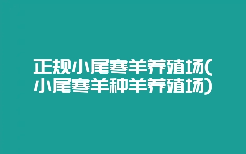 正规小尾寒羊养殖场(小尾寒羊种羊养殖场)插图 正规小尾寒羊养殖场(小尾寒羊种羊养殖场)插图