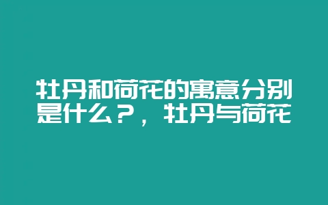 牡丹和荷花的寓意分别是什么？，牡丹与荷花-会东网