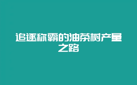 追逐称霸的油茶树产量之路插图 追逐称霸的油茶树产量之路插图