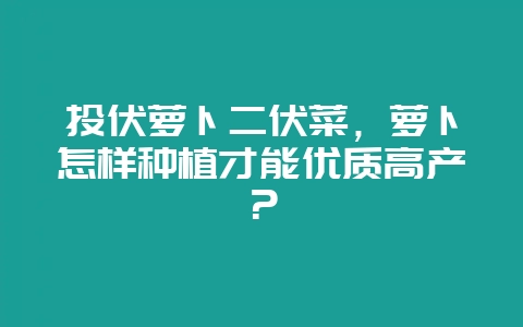 头伏萝卜二伏菜，萝卜怎样种植才能优质高产？-会东网