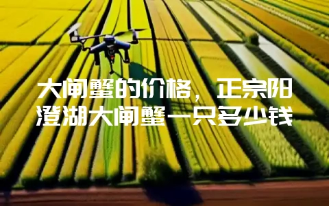 大闸蟹的价格，正宗阳澄湖大闸蟹一只多少钱-会东网