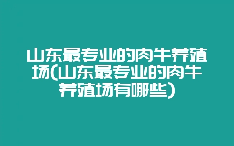 山东最专业的肉牛养殖场(山东最专业的肉牛养殖场有哪些)插图 山东最专业的肉牛养殖场(山东最专业的肉牛养殖场有哪些)插图