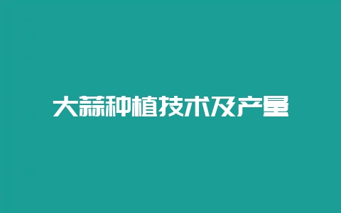 大蒜种植技术及产量-会东网