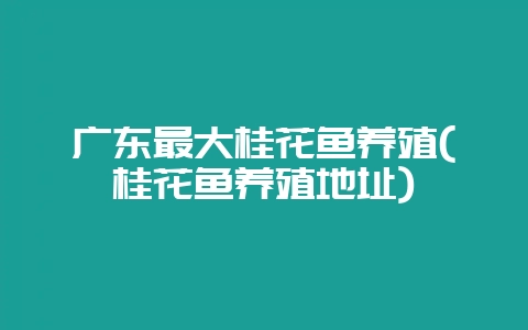 广东最大桂花鱼养殖(桂花鱼养殖地址)-会东网