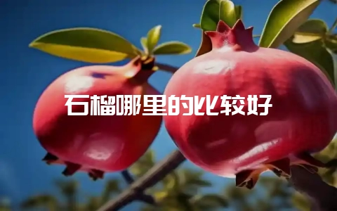 石榴哪里的比较好-会东网