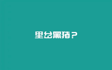里岔黑猪？-会东网