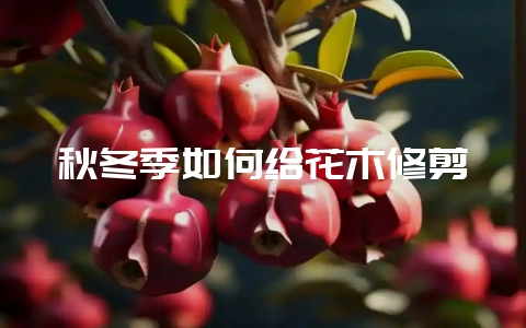 秋冬季如何给花木修剪-会东网