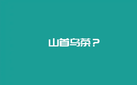 嵩山首乌茶？-会东网