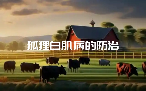 狐狸白肌病的防治-会东网