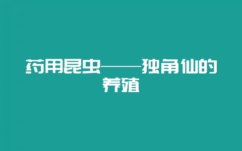 药用昆虫——独角仙的养殖插图 药用昆虫——独角仙的养殖插图