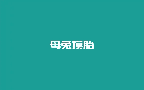 母兔摸胎插图 母兔摸胎插图
