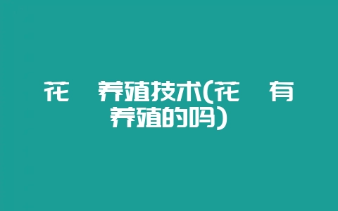 花鳗养殖技术(花鳗有养殖的吗)-会东网