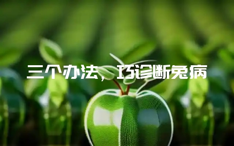 三个办法，巧诊断兔病-会东网