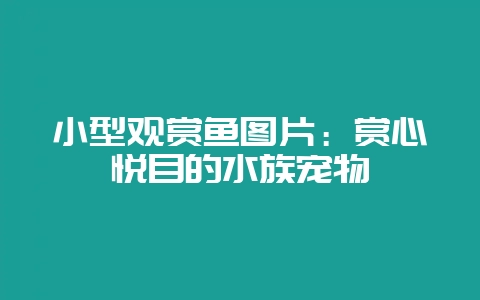 小型观赏鱼图片:赏心悦目的水族宠物插图 小型观赏鱼图片:赏心悦目的水族宠物插图