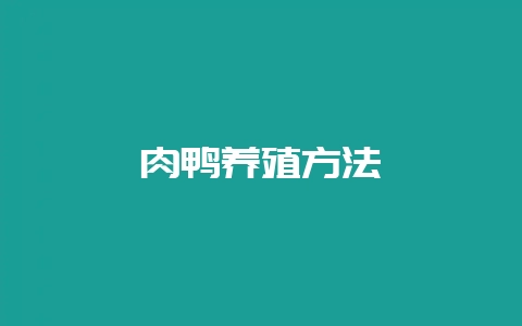 肉鸭养殖方法-会东网