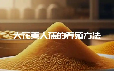 大花美人蕉的养殖方法-会东网