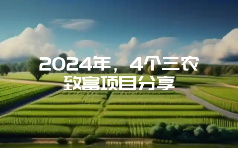 2024年，4个三农致富项目分享-会东网