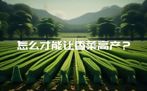 怎么才能让香菜高产？-会东网
