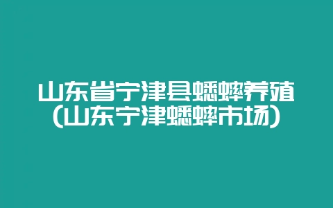 山东省宁津县蟋蟀养殖(山东宁津蟋蟀市场)-会东网