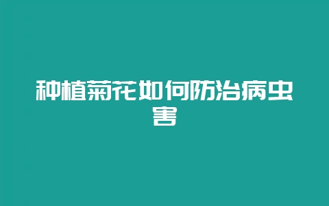 种植菊花如何防治病虫害-会东网