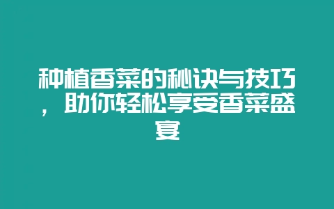 种植香菜的秘诀与技巧,助你轻松享受香菜盛宴插图 种植香菜的秘诀与技巧,助你轻松享受香菜盛宴插图