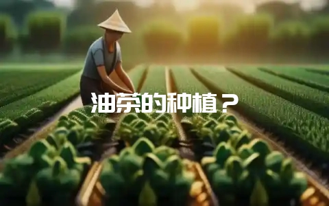 油茶的种植？-会东网