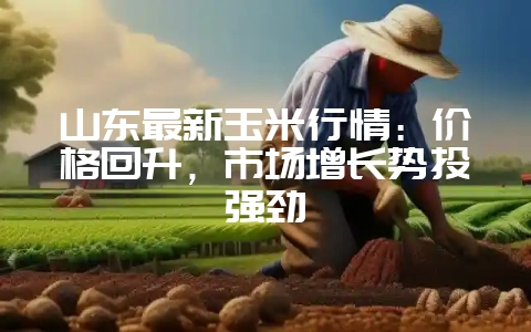 山东最新玉米行情：价格回升，市场增长势头强劲-会东网