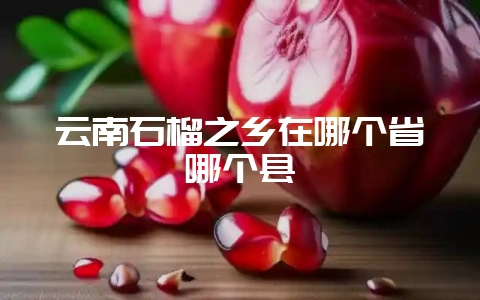 云南石榴之乡在哪个省哪个县-会东网